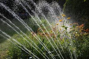 sprinkler